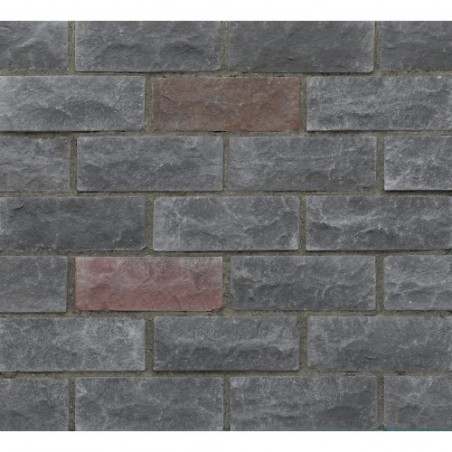 Atrion Grey