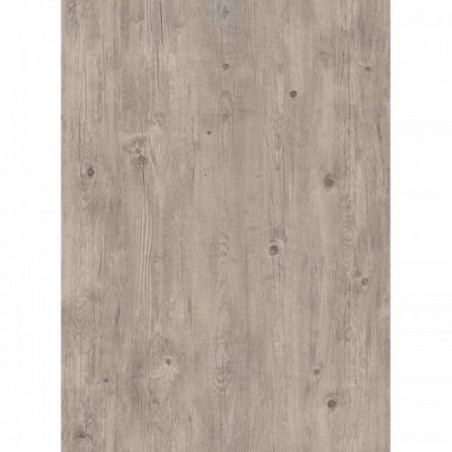 Super Classic Cinquento Pine