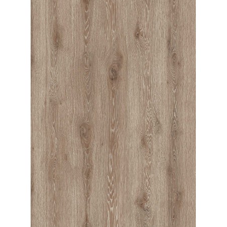 Elegant Merinos Oak